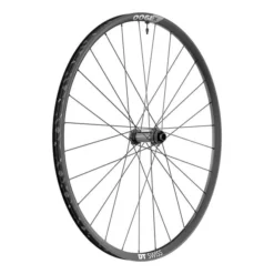 Dt-swiss DT Swiss MTB X 1900 Spline 29' 25 Mm Disc Center Lock Front Wheel Black